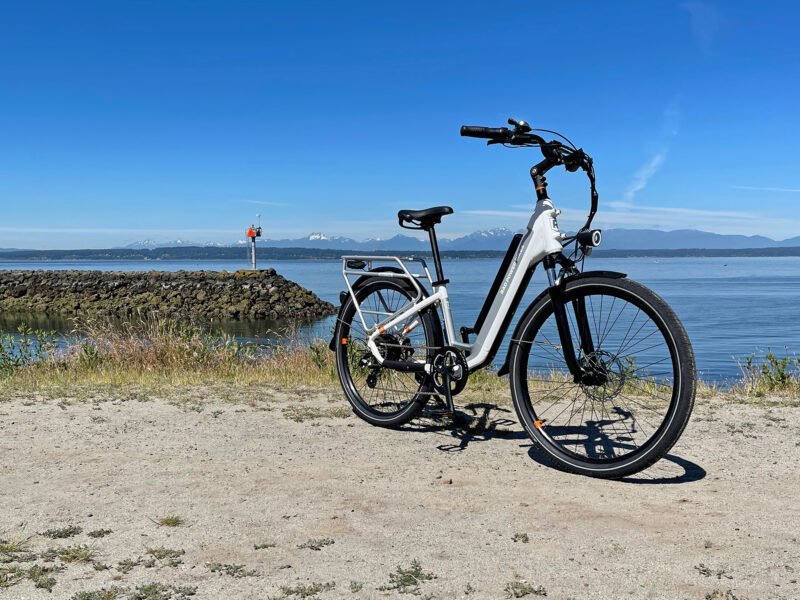 RadCity 5 Plus Step-Thru electric bicycle with front suspension, rear cargo rack, and removable battery