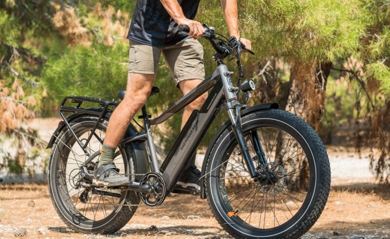 RadRover 6 Plus Riding Experience Rider enjoying the RadRover 6 Plus electric bike on a scenic trail