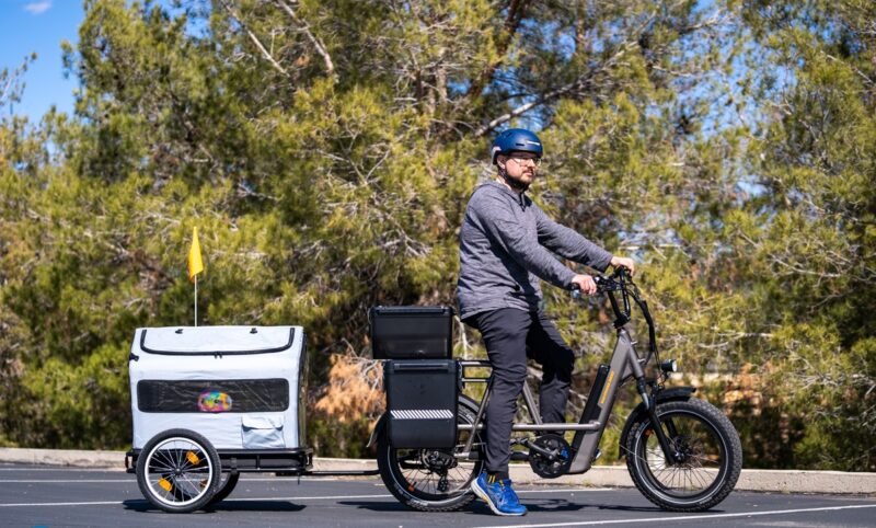RadRunner 3 Plus rear cargo rack carrying groceries and everyday essentials