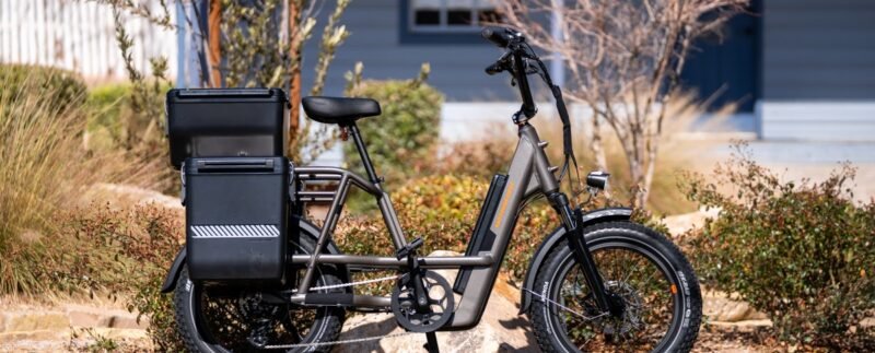 RadRunner 3 Plus rear cargo rack carrying groceries and everyday essentials