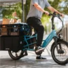 Lectric XPedition 2.0 carrying groceries in the rear cargo platform
