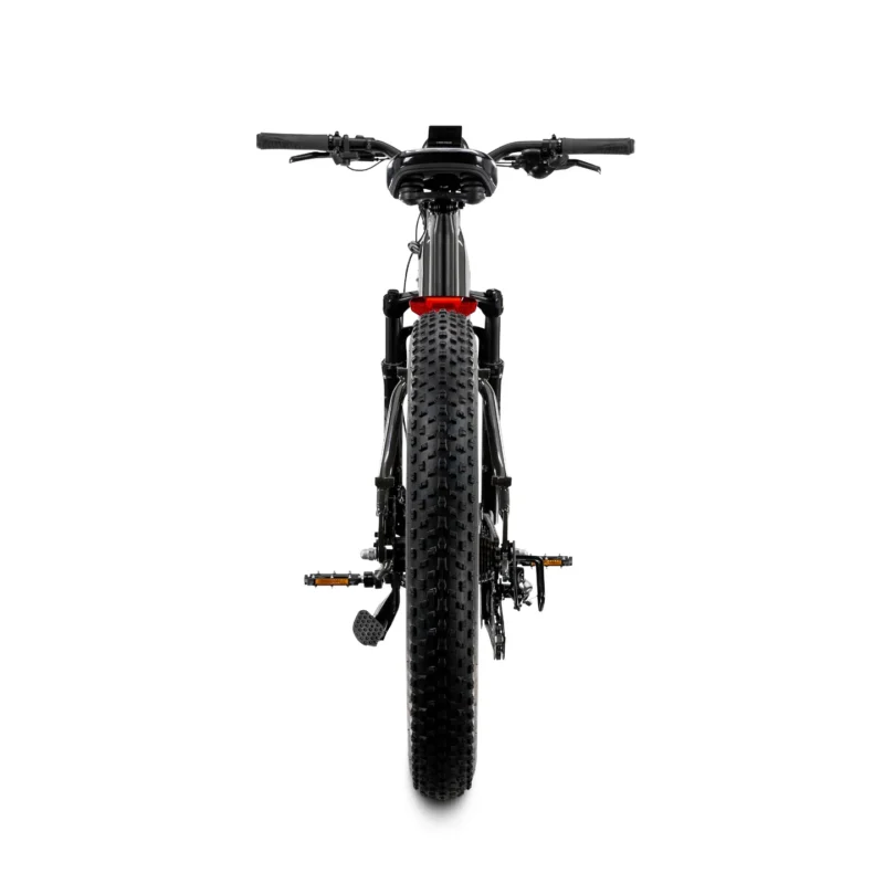 Rear view of the Lectric XPeak 2.0