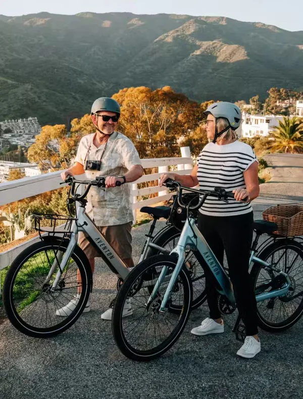Aventon Pace 4 Commuter E-Bike Aventon Pace 4 commuter electric bike in Matte Aurora