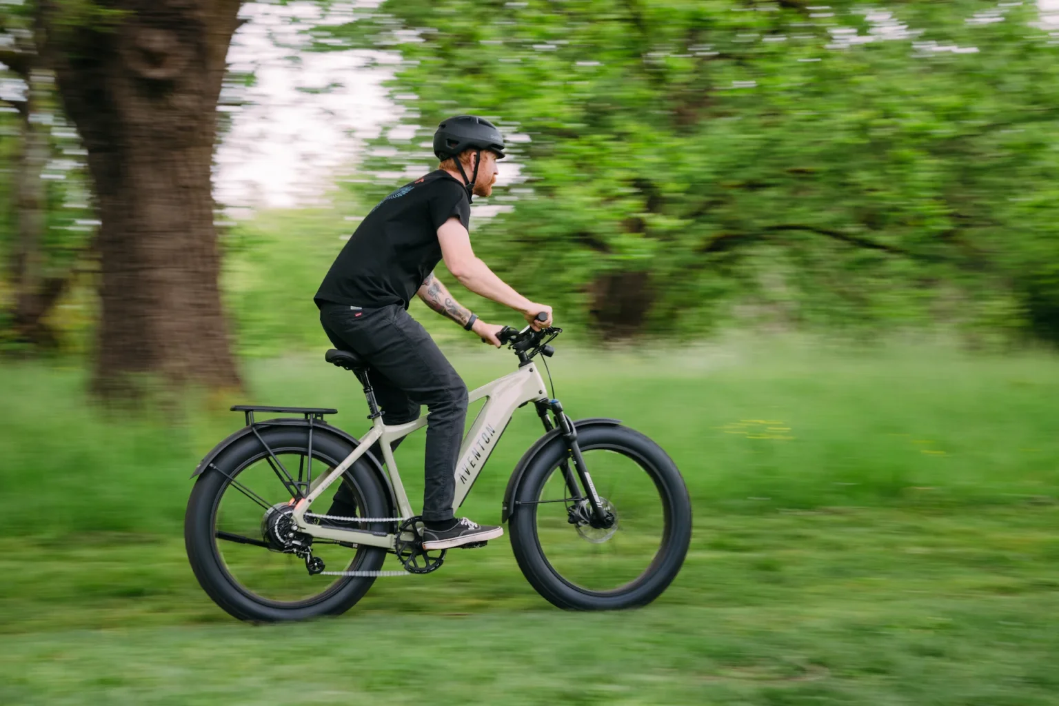 Buy Aventon Aventure.3 electric bike with 750W motor, torque sensor, hydraulic brakes, and fat tires